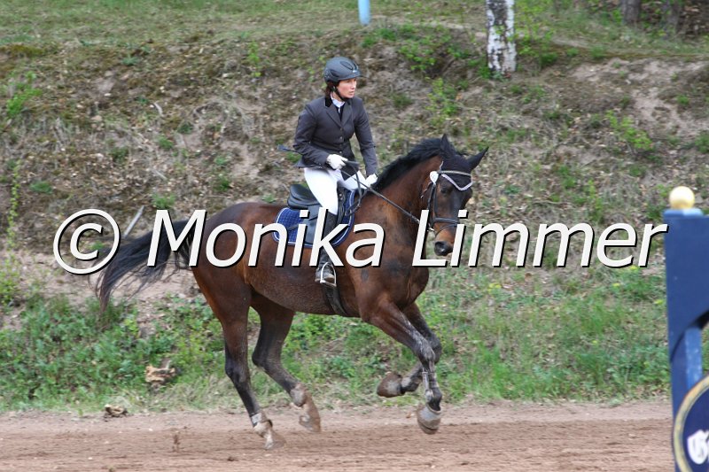 204M9009_Quinn_Stil Ax.JPG